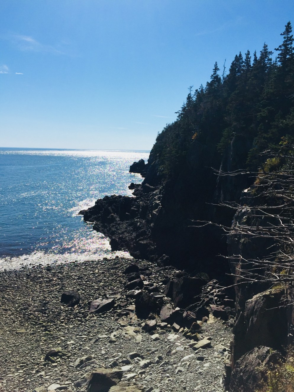 Rocky beach off the Coastal Trail, Quoddy Head State Park.