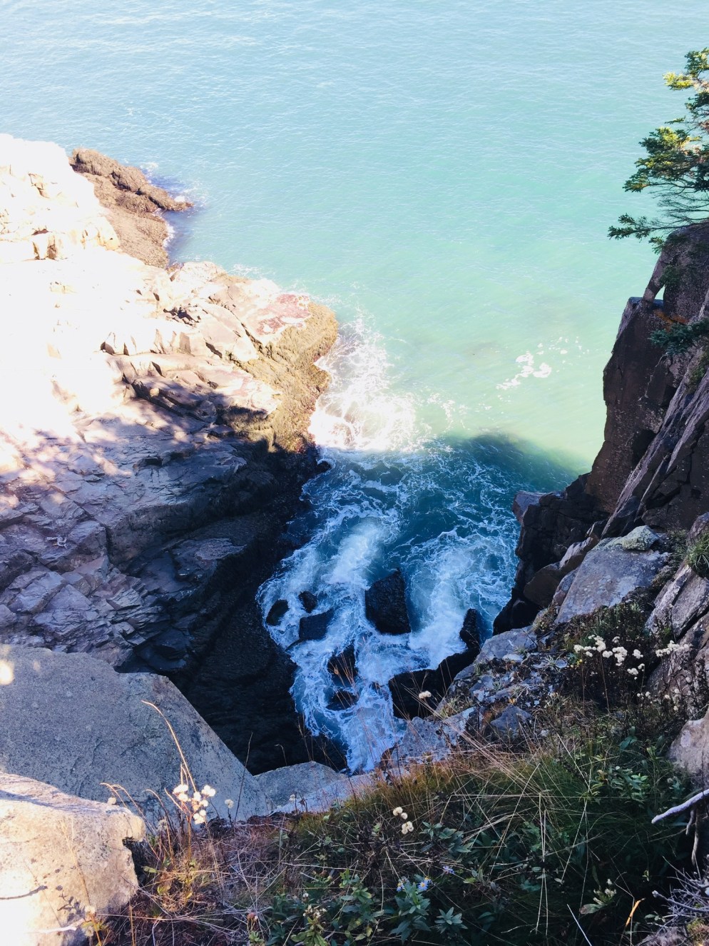 01d86651433eae65716d0e041ead3749e4e0c98292