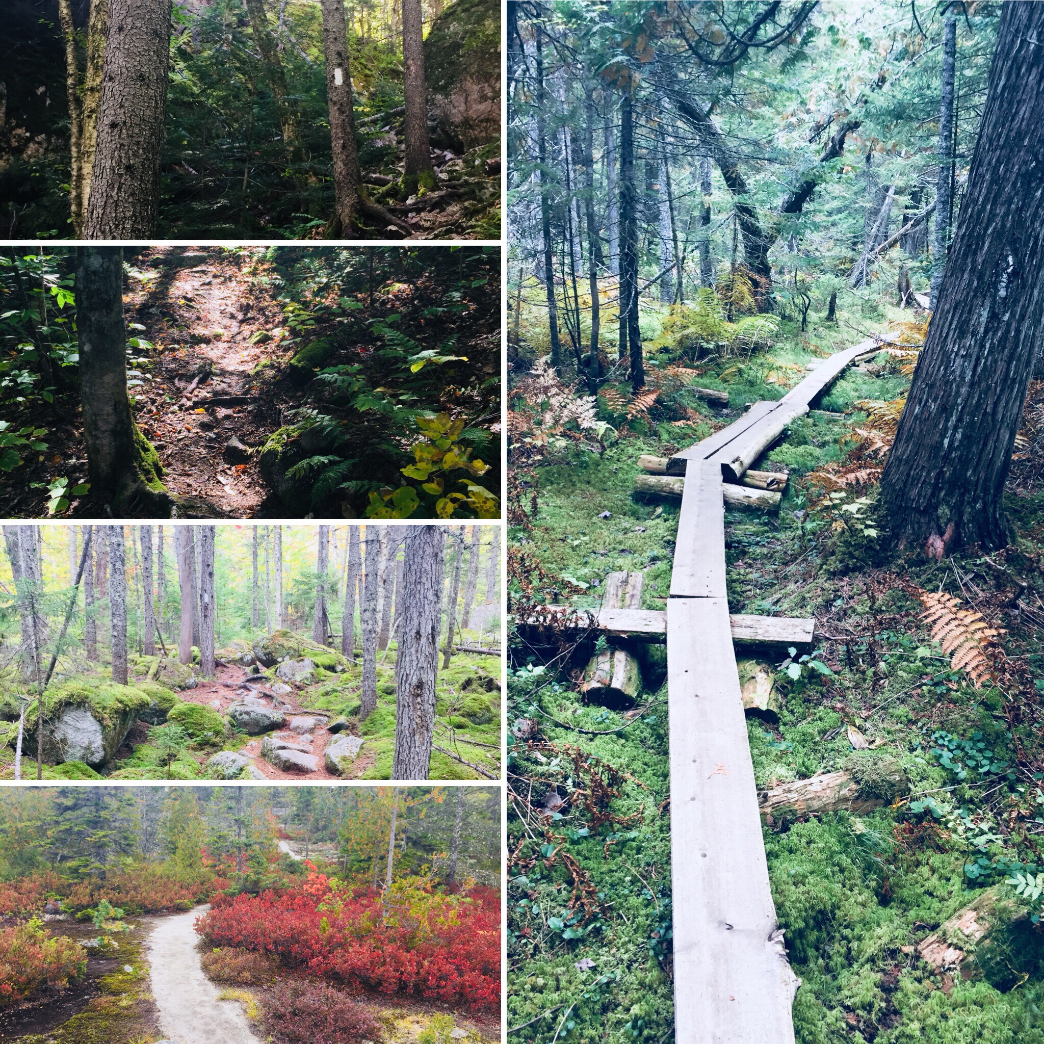 34c67eba-a7bf-41d8-9291-ed018661a3dc