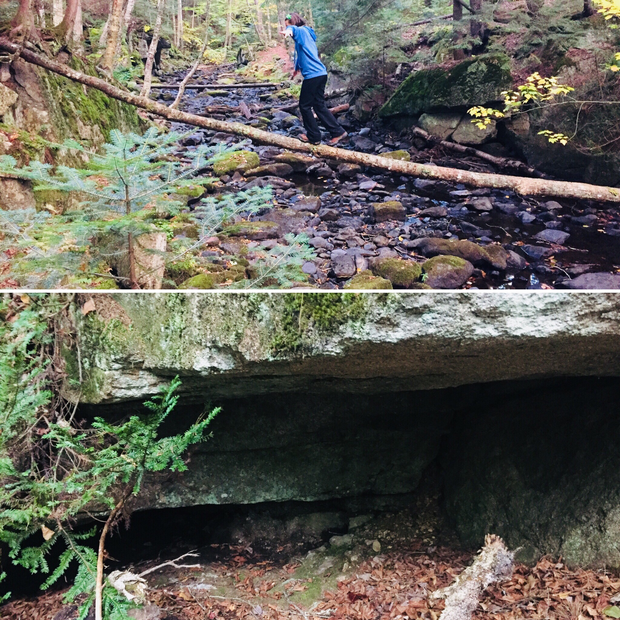 Crossing Rainbow Stream to check out an animal den.