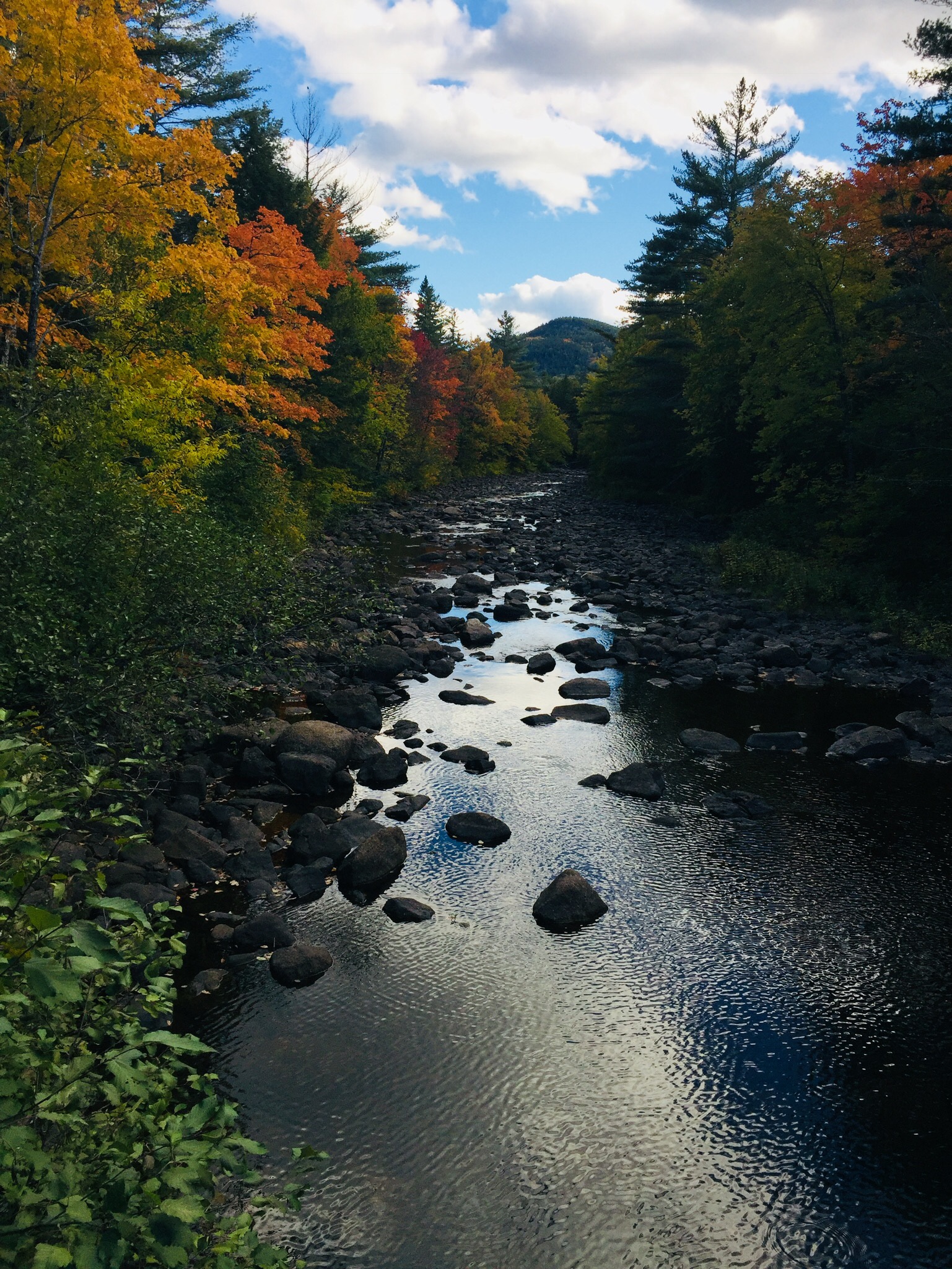 Fall colors on Pollywog Stream, 100 Mile Wilderness