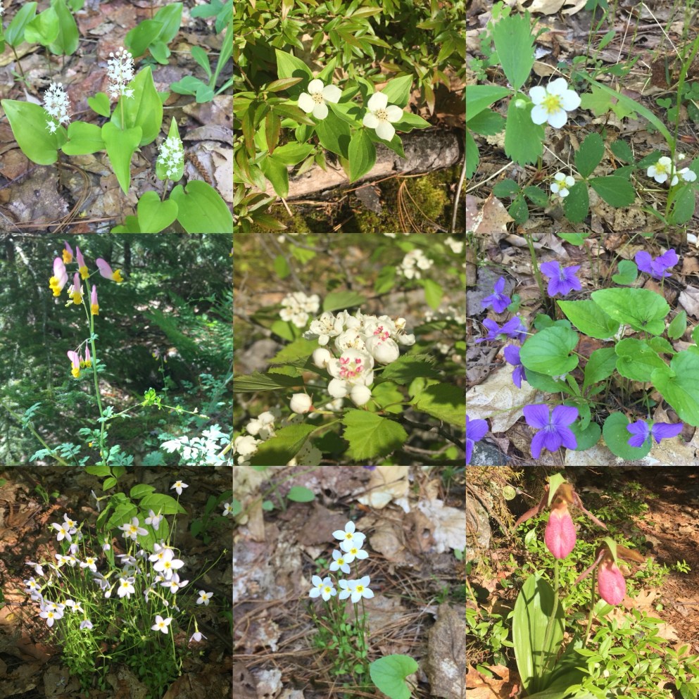 01026d319bcc85e3ca122be89080f5eaf7c639c395