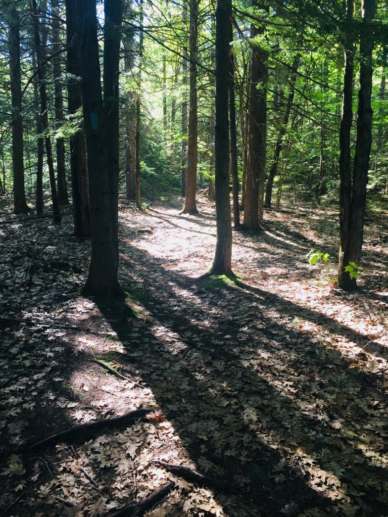 015c8ad862458ad510b6146f627b98a23d77963830