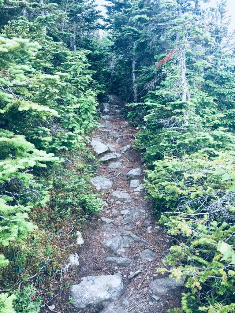 Narrow path in the alpine area of Mount Abram.