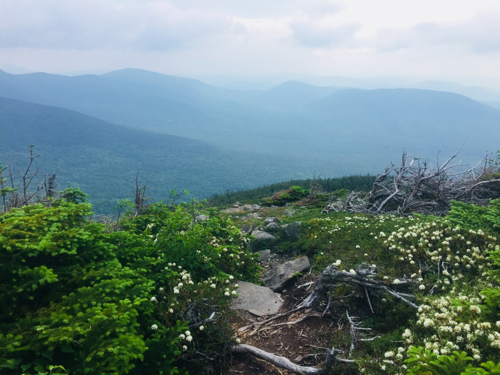 View down the Fire Warden's Trail, Mount Abram in Kingfield, Maine