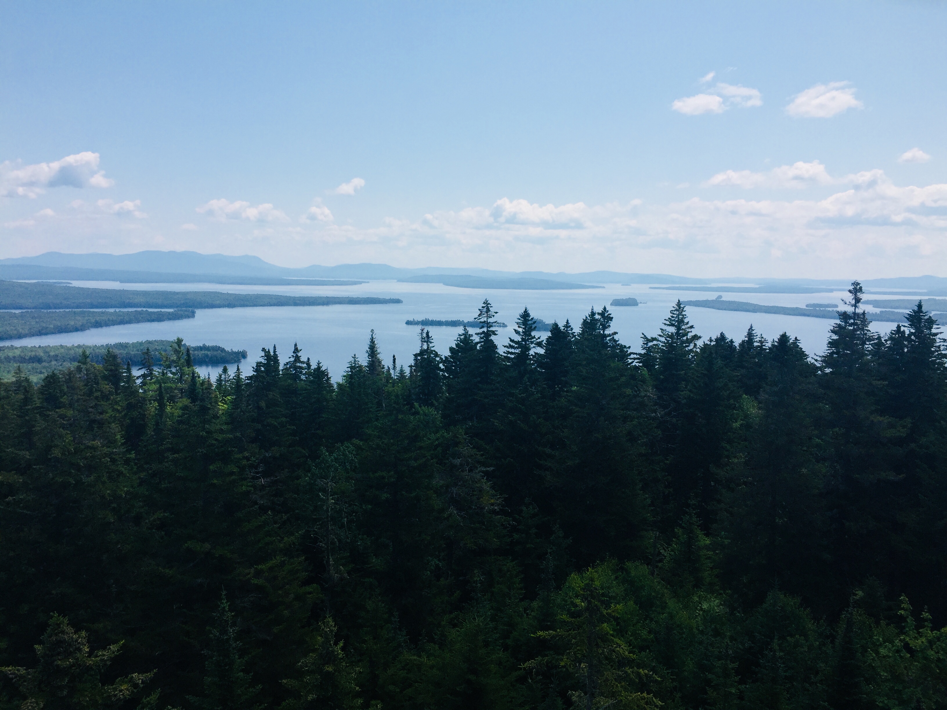 View from summit fire tower, Mt. Kineo