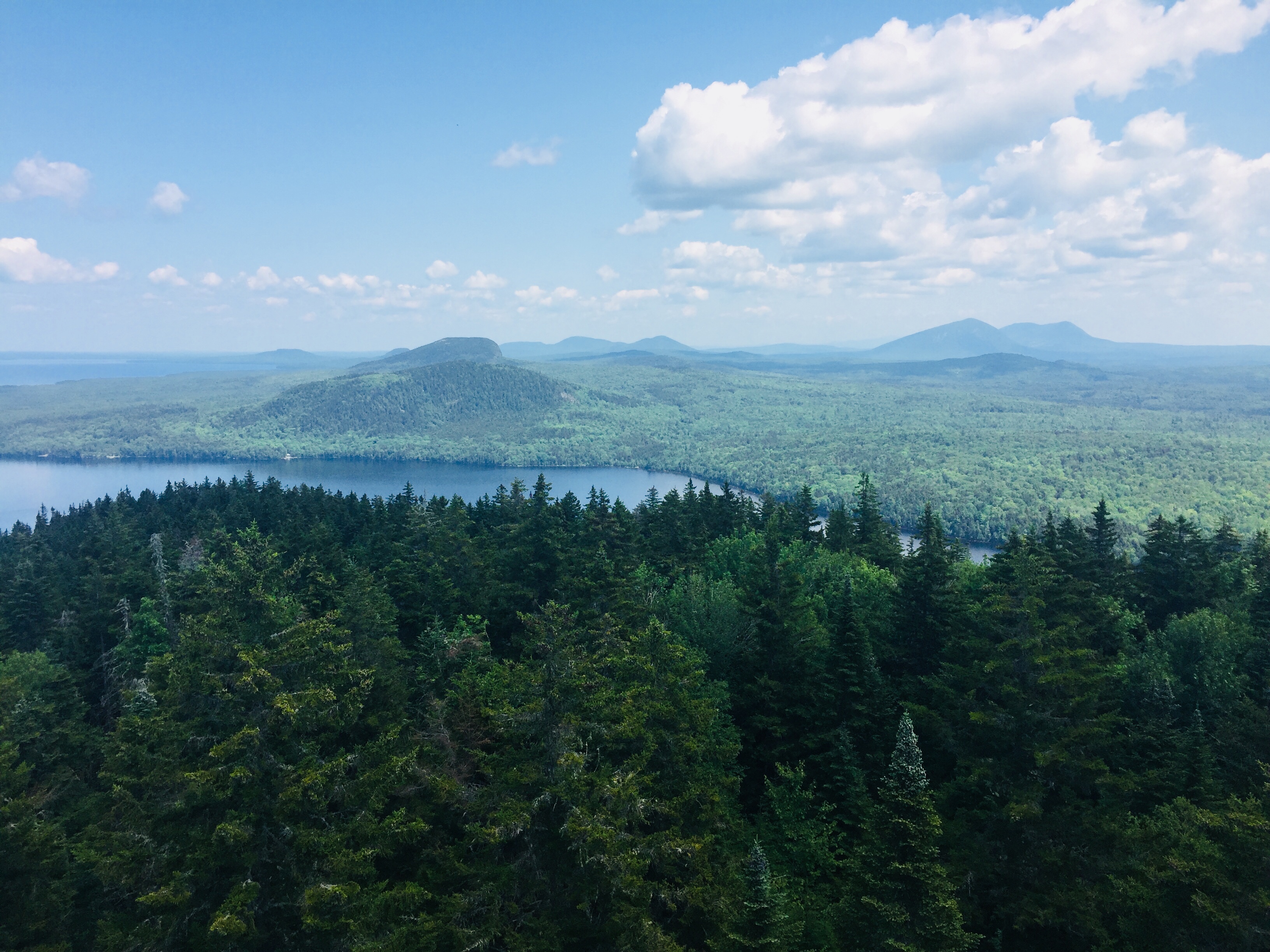 View from summit fire tower, Mount Kineo