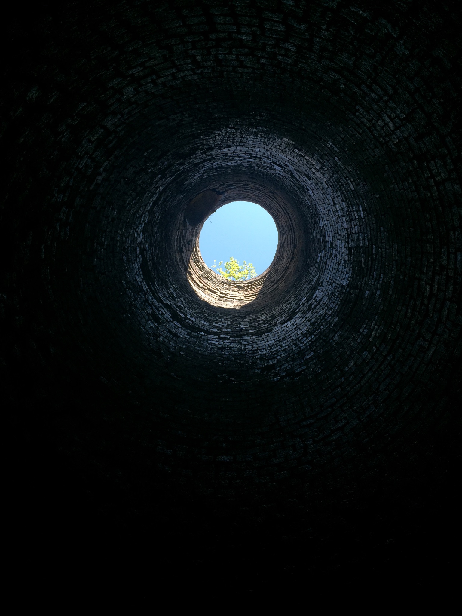 A small poplar grows at the top of the remaining Katahdin Iron Works furnace by the KI Gate.