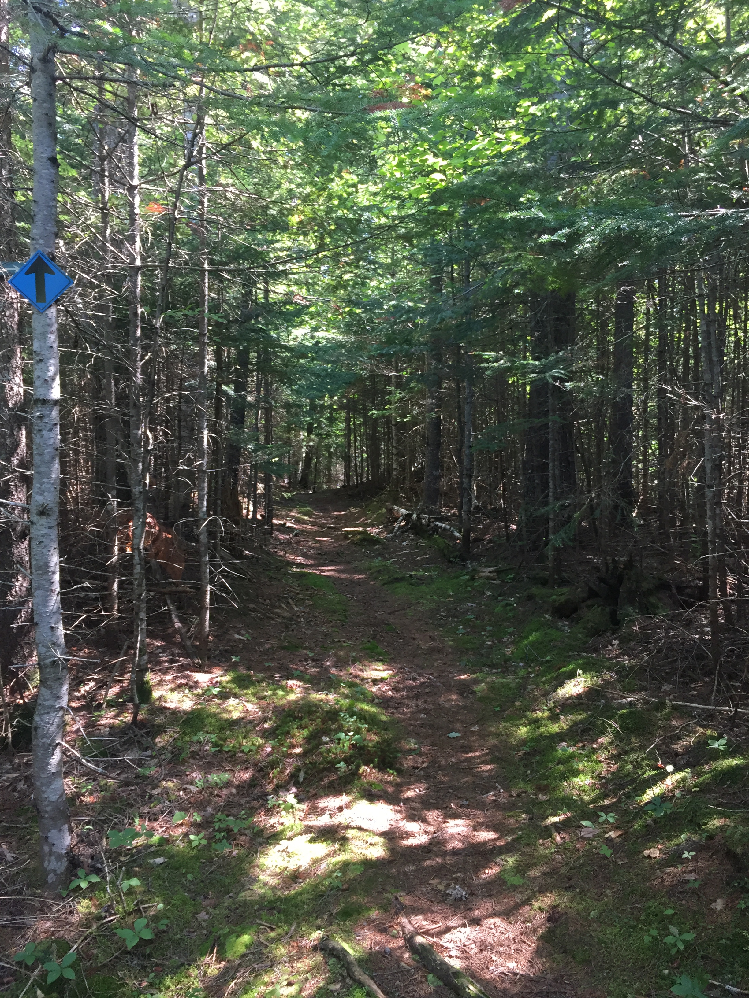 Pond Loop Trail, marked with blue signs