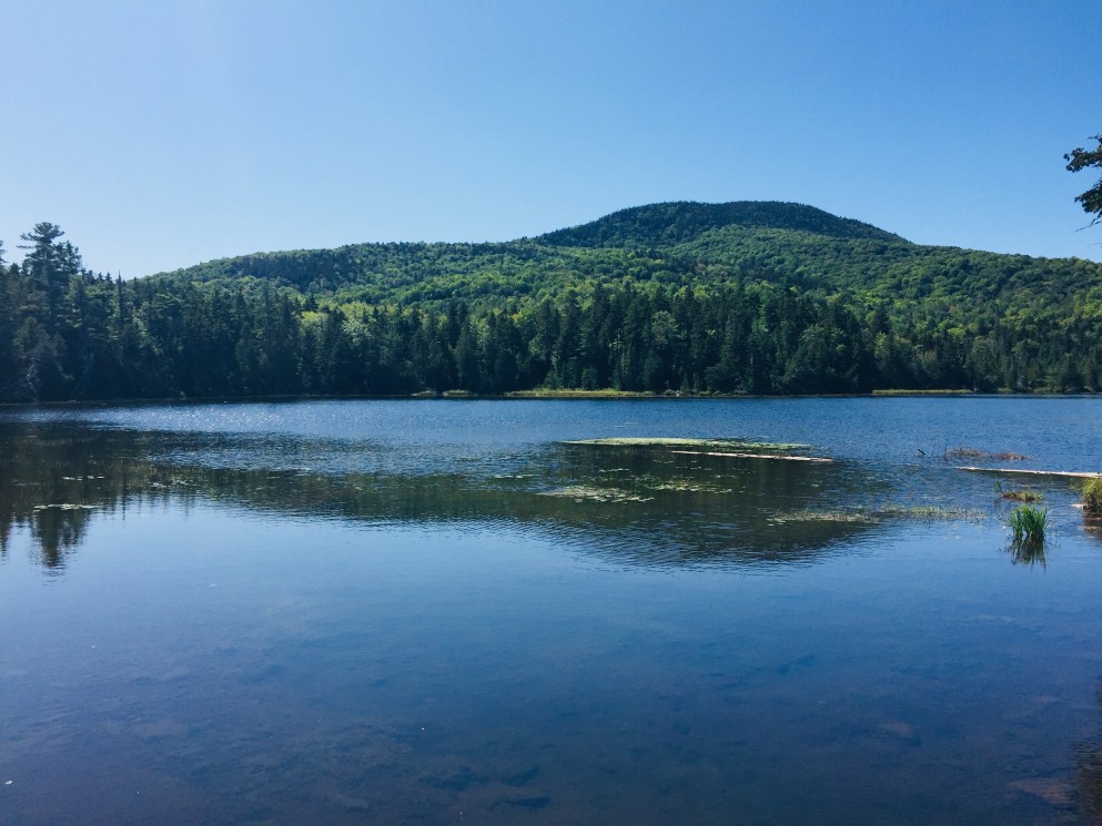 Little Lyford Upper Pond from the Pond Loop Trail
