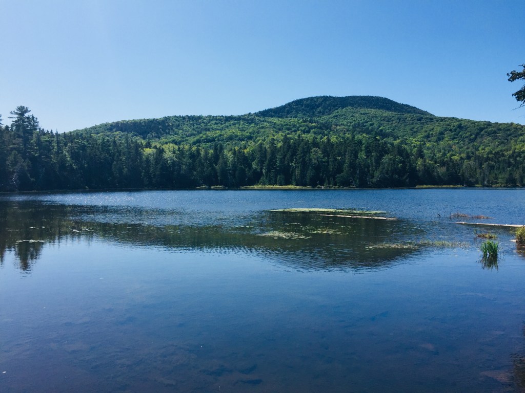 Little Lyford Upper Pond from the Pond Loop Trail