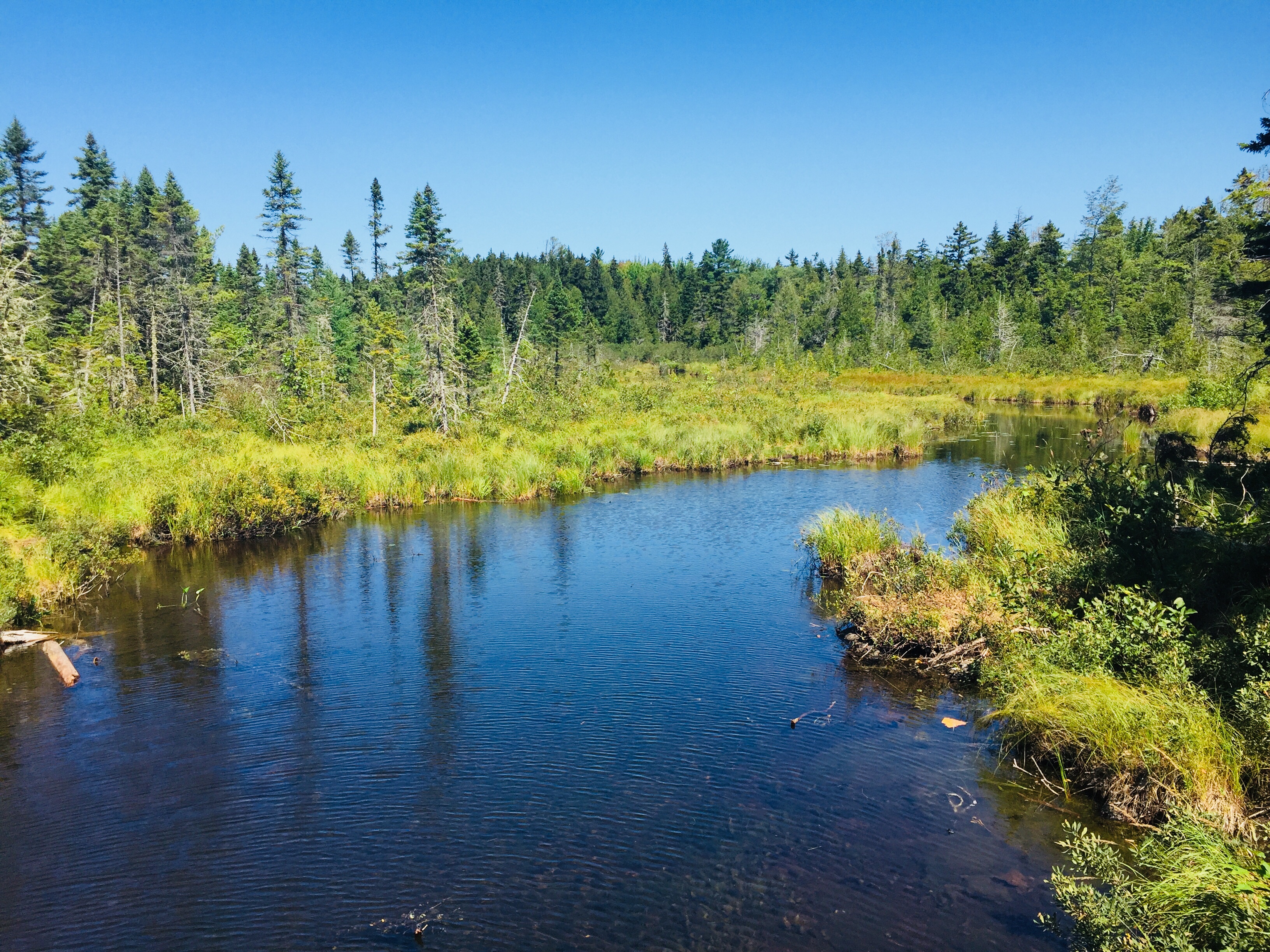 Upper Pond outlet, Little Lyford Ponds, from Kendall's Crossing