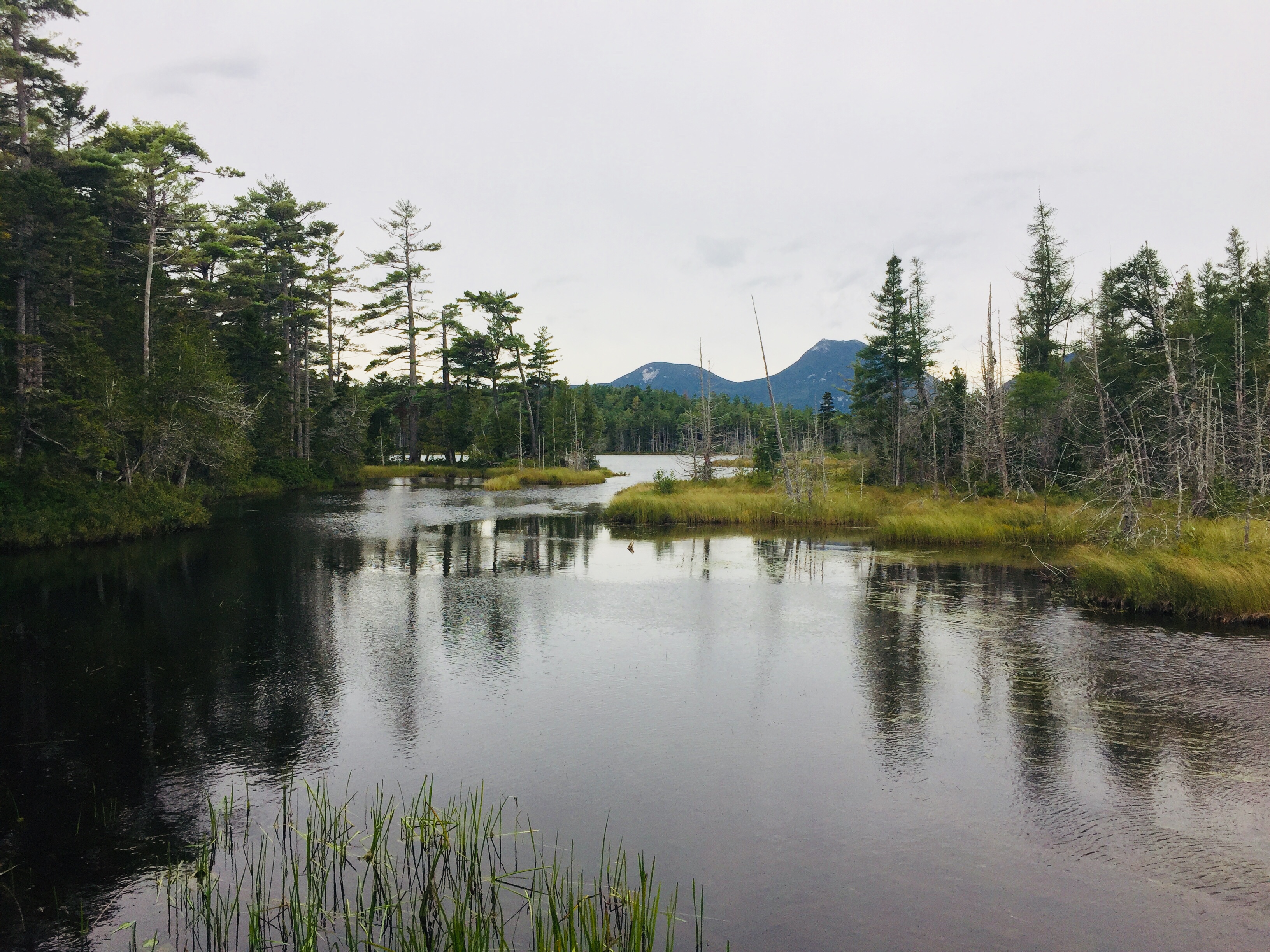 Moose and Doubletop Mountains across Grassy Pond