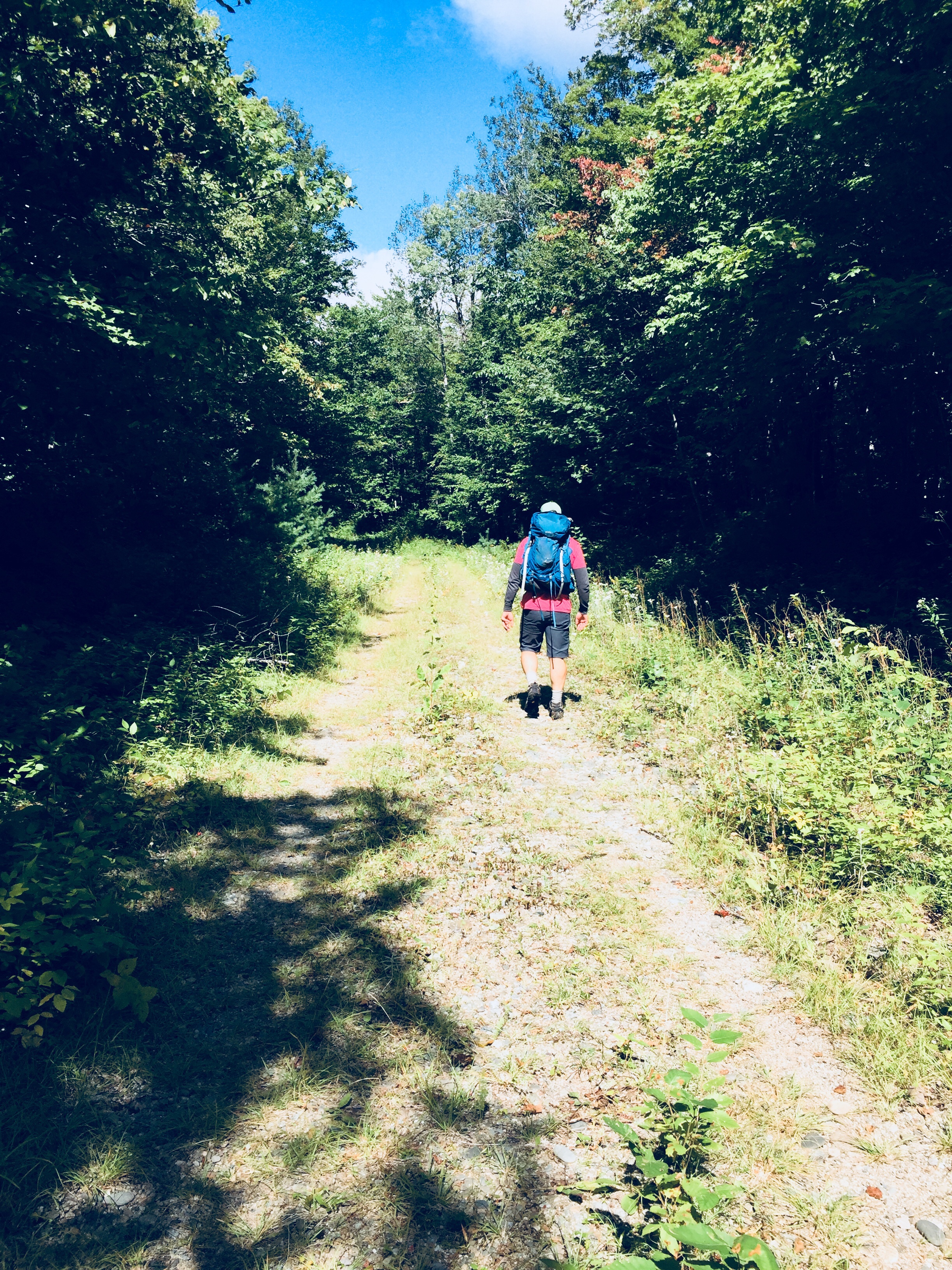 Orin Falls Trail, Katahdin Woods and Waters National Monument, Maine