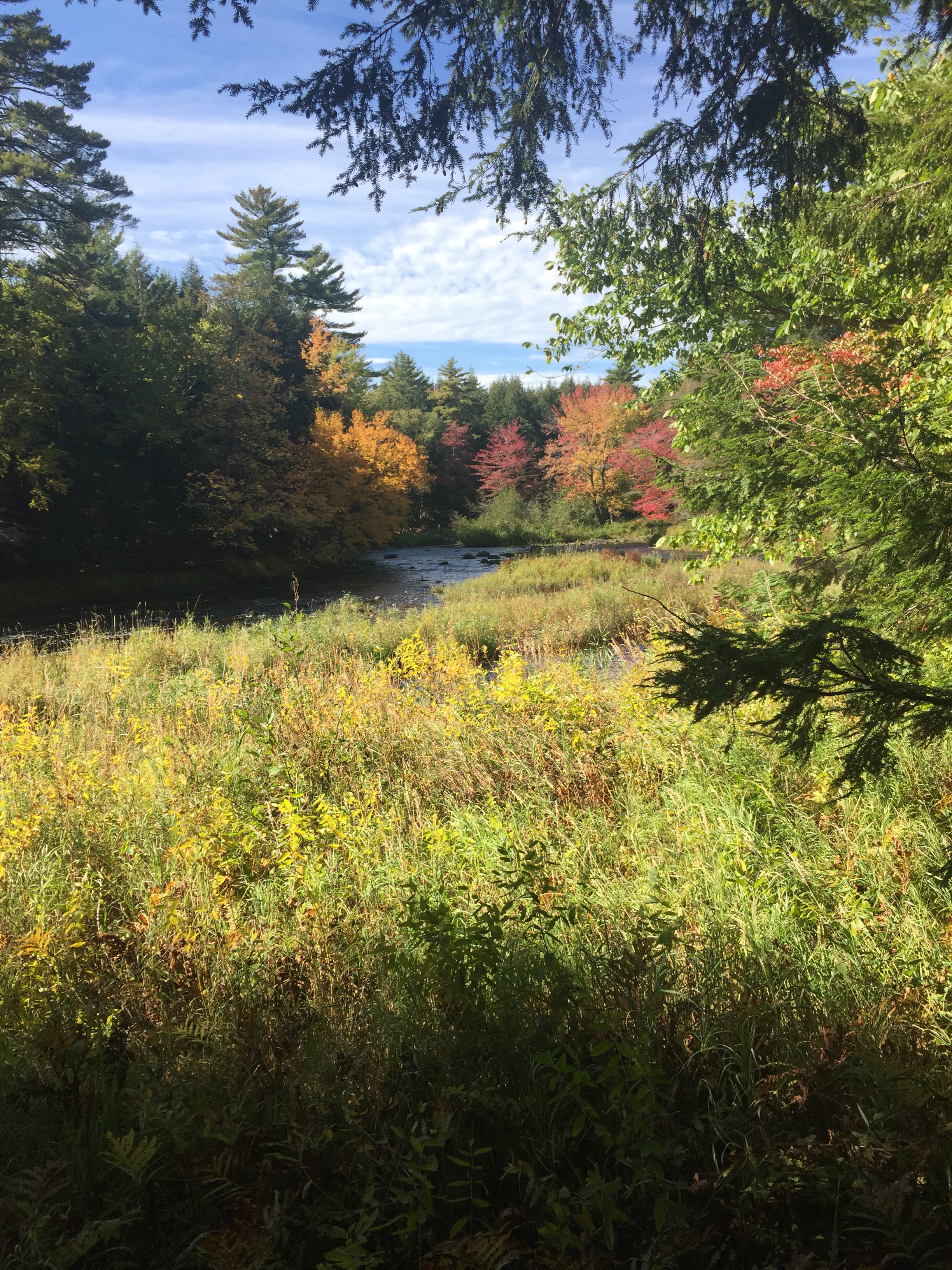 Fall colors, Mariaville Falls Preserve, ME