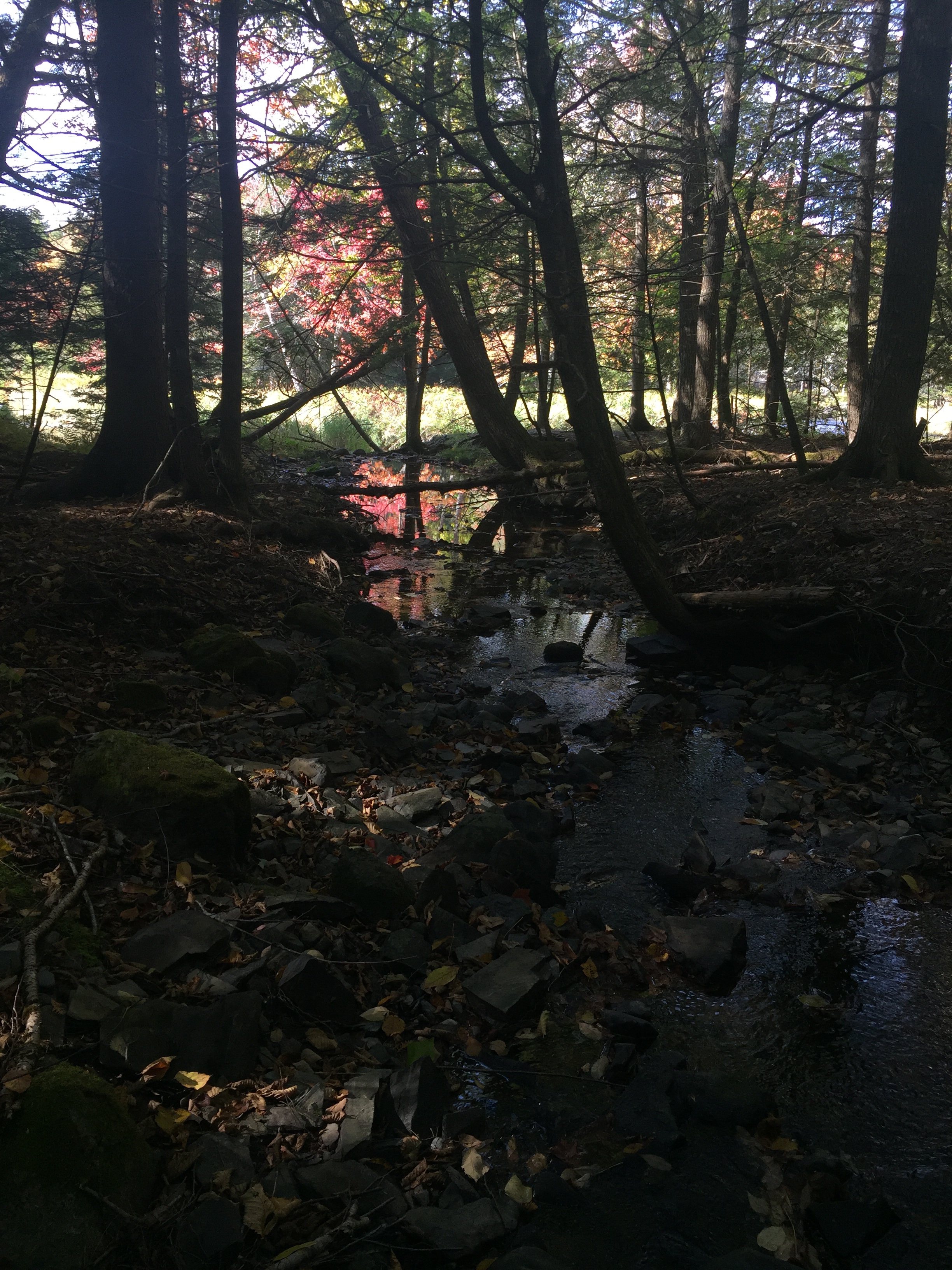 Mariaville Falls Preserve, ME