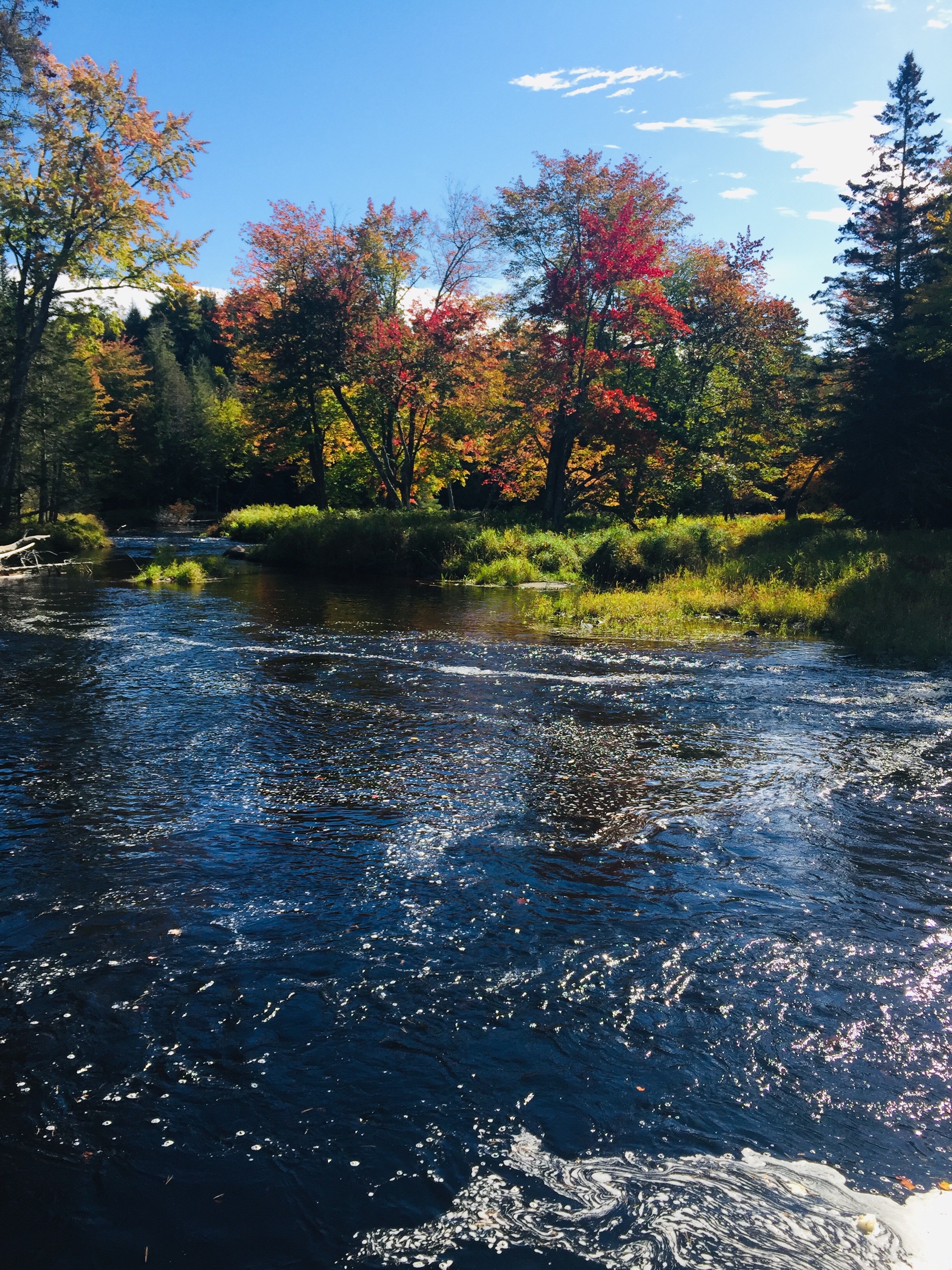 Union River, Mariaville Falls Preserve, ME