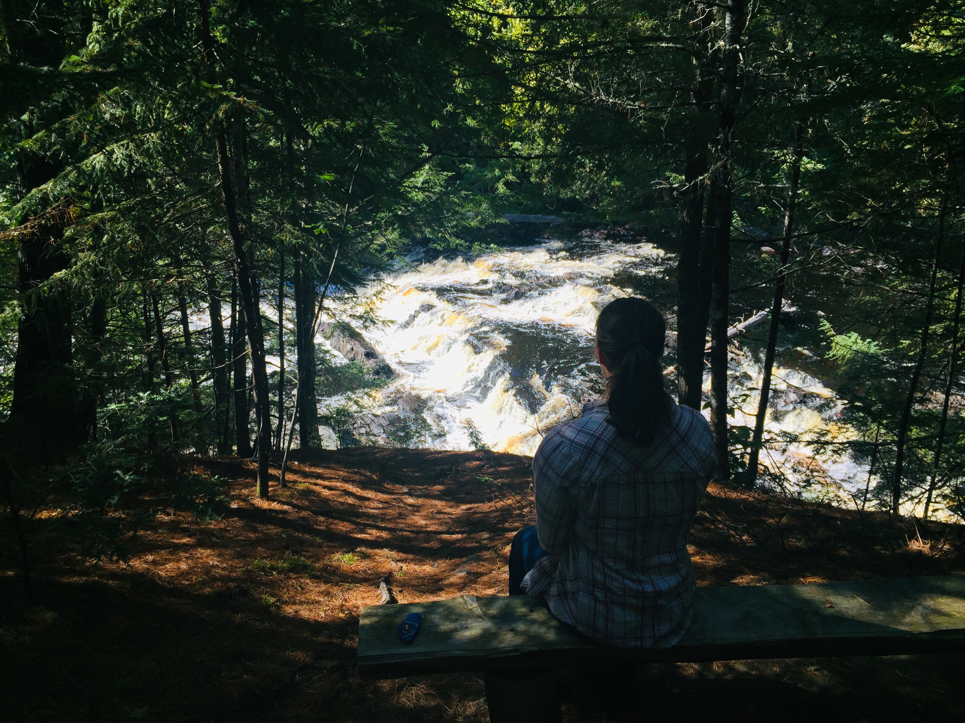 Observation bench, Mariaville Falls Preserve, ME