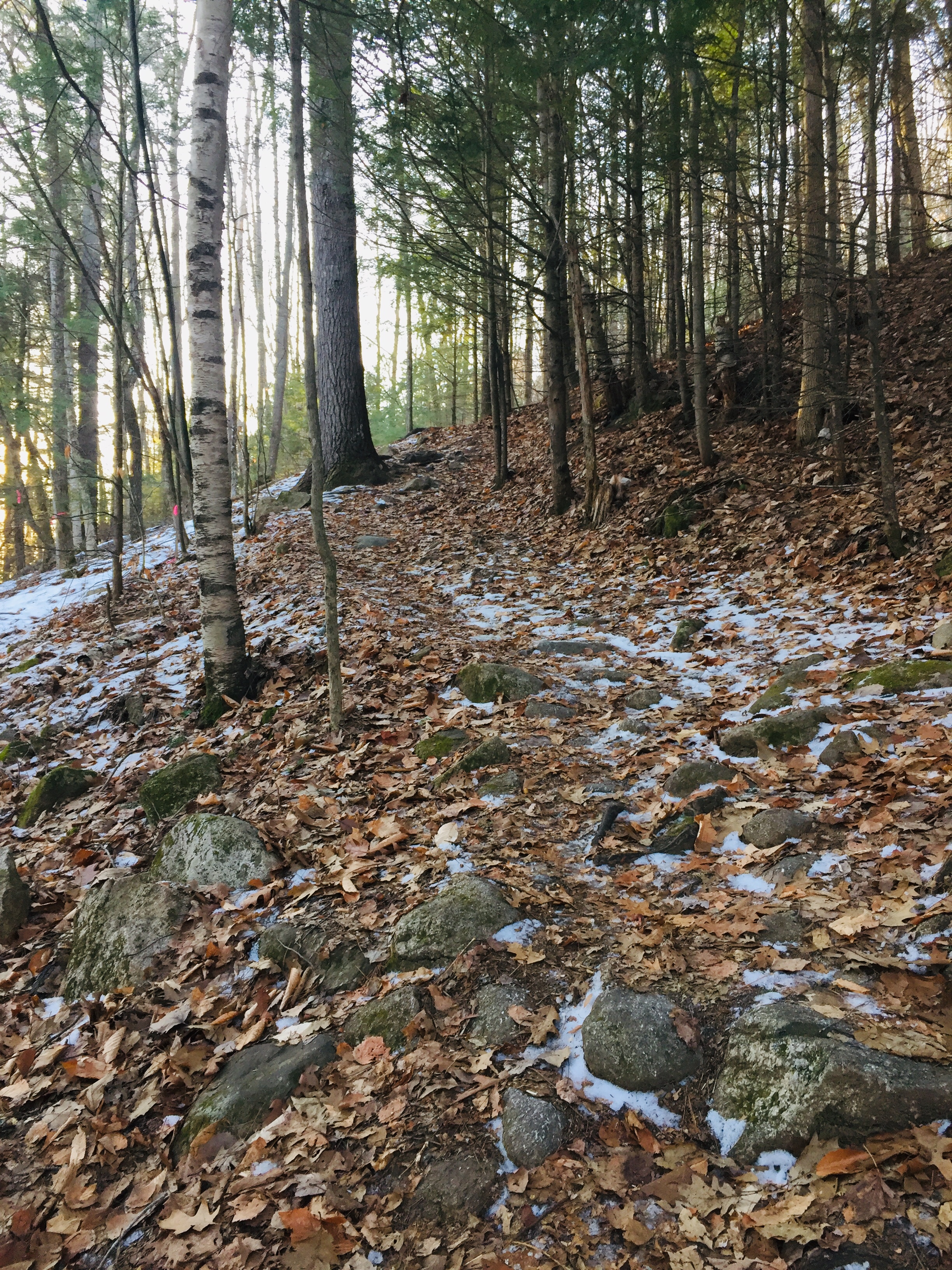 Daniel Brown Trail, Mount Tire'm, Waterford, Maine
