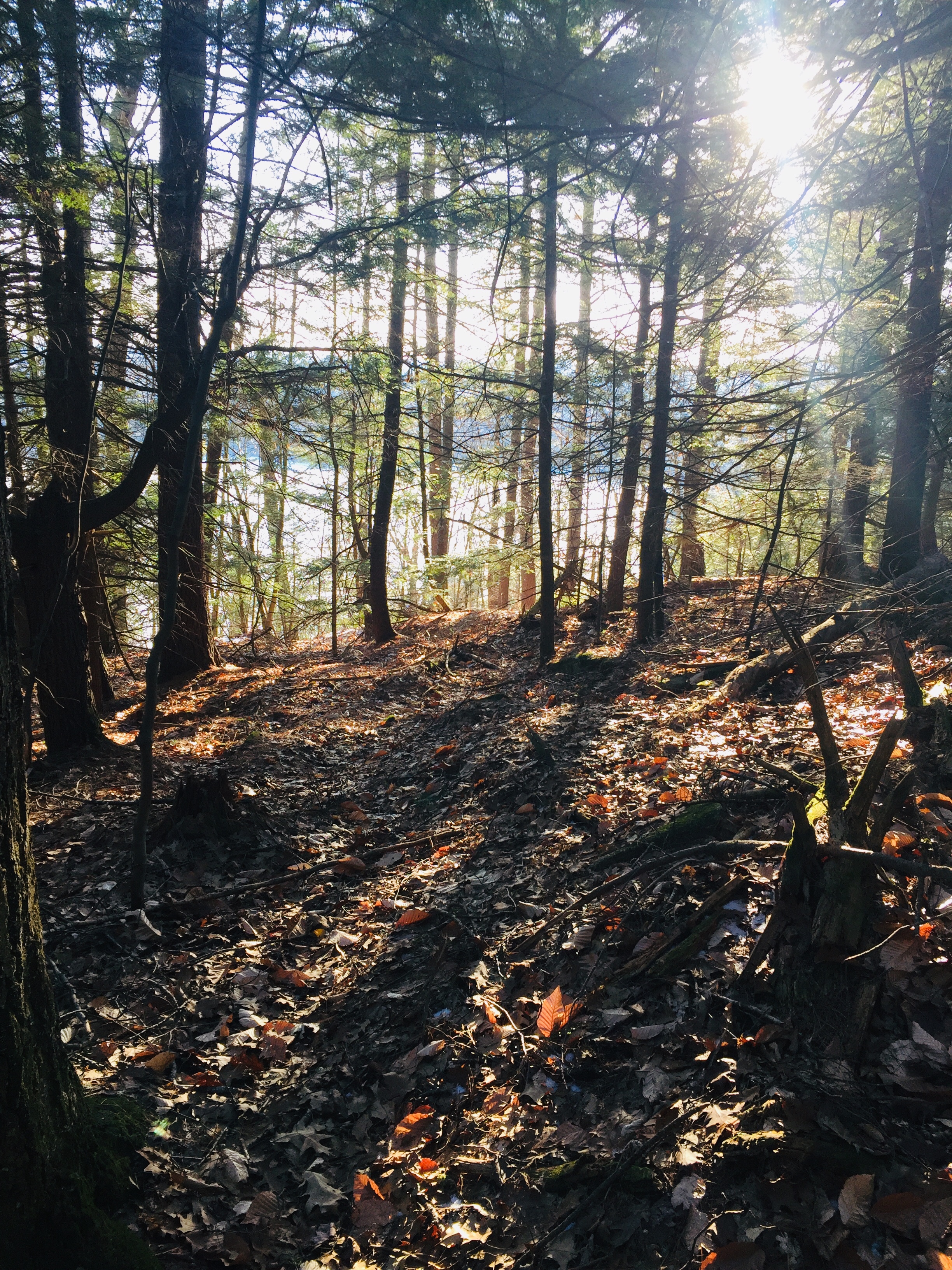 View of Keoka Lake through the trees, Daniel Brown Trail, Mount Tire'm, Waterford, Maine