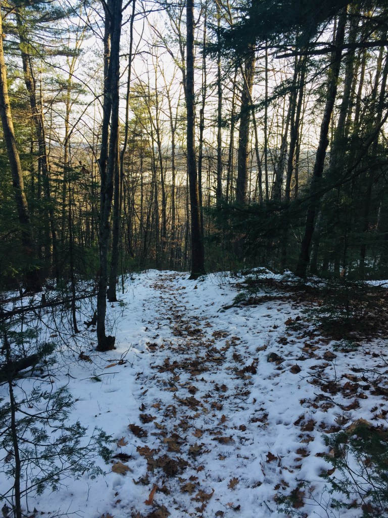 Daniel Brown Trail, Mount Tire'm, Waterford, Maine