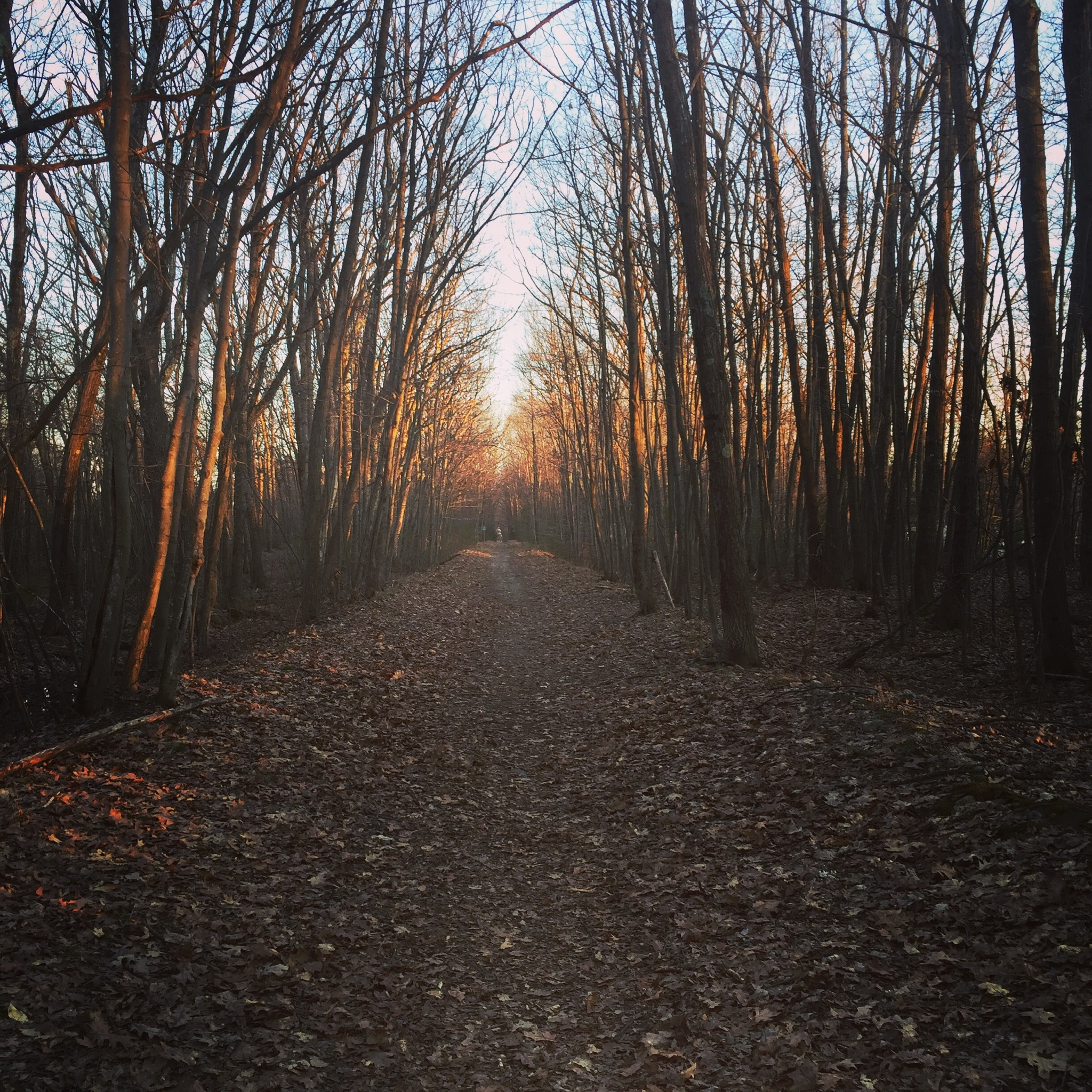 Portland (Maine) Trails, April 2020