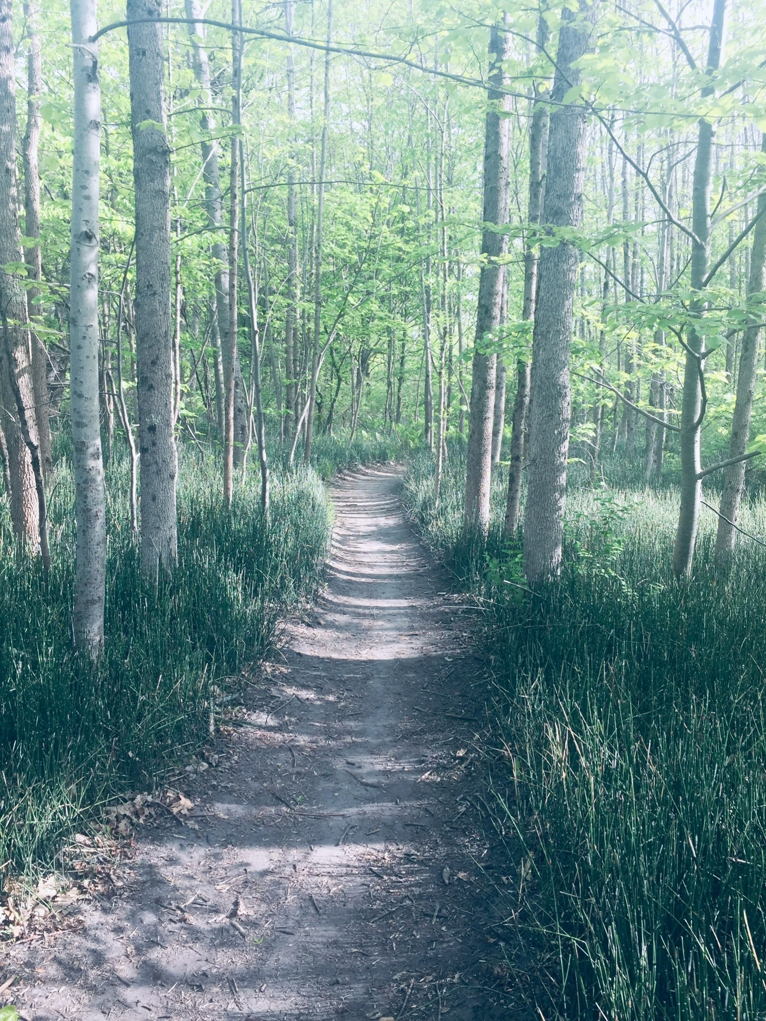 015b3ac04b3784015d9b9e6329cee4f42c948594e0