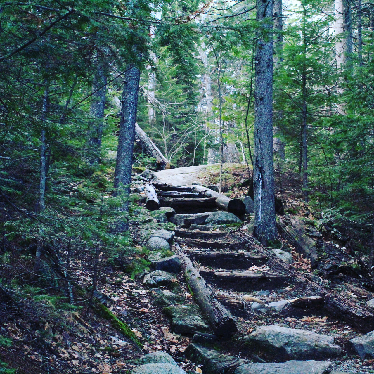 Center Hill Nature Trail, Mount Blue State Park, Weld, Maine