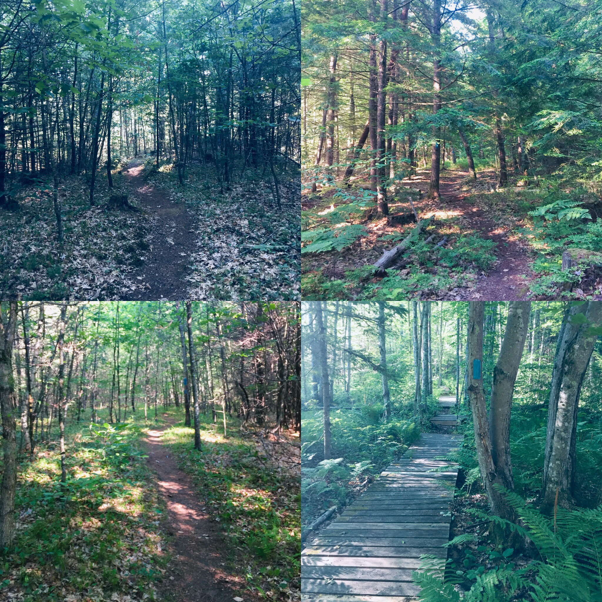 faaa50fc-3c56-4770-b3f6-230852147dd2