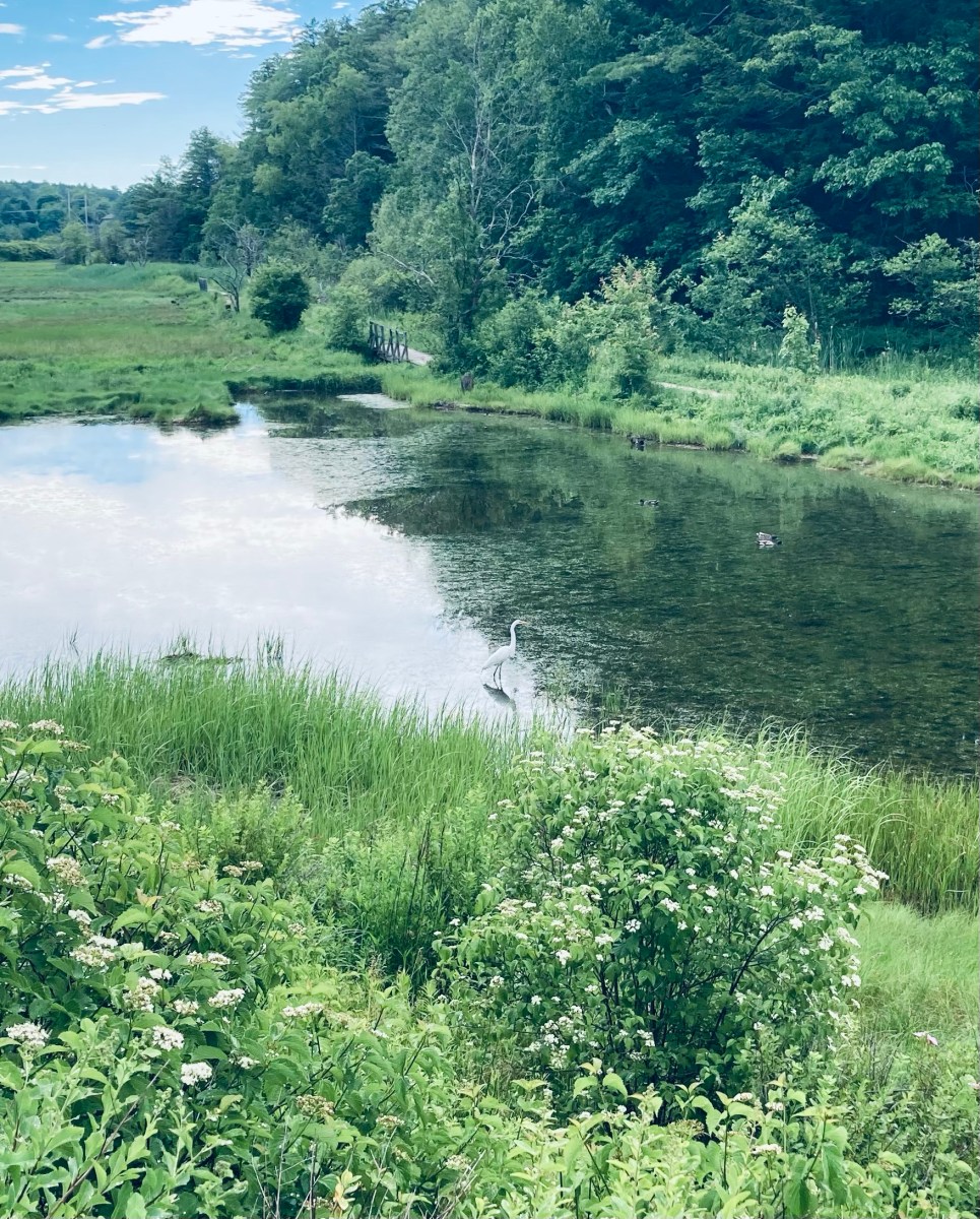 Fore River Sanctuary (Portland, ME) – Hiking in Maine