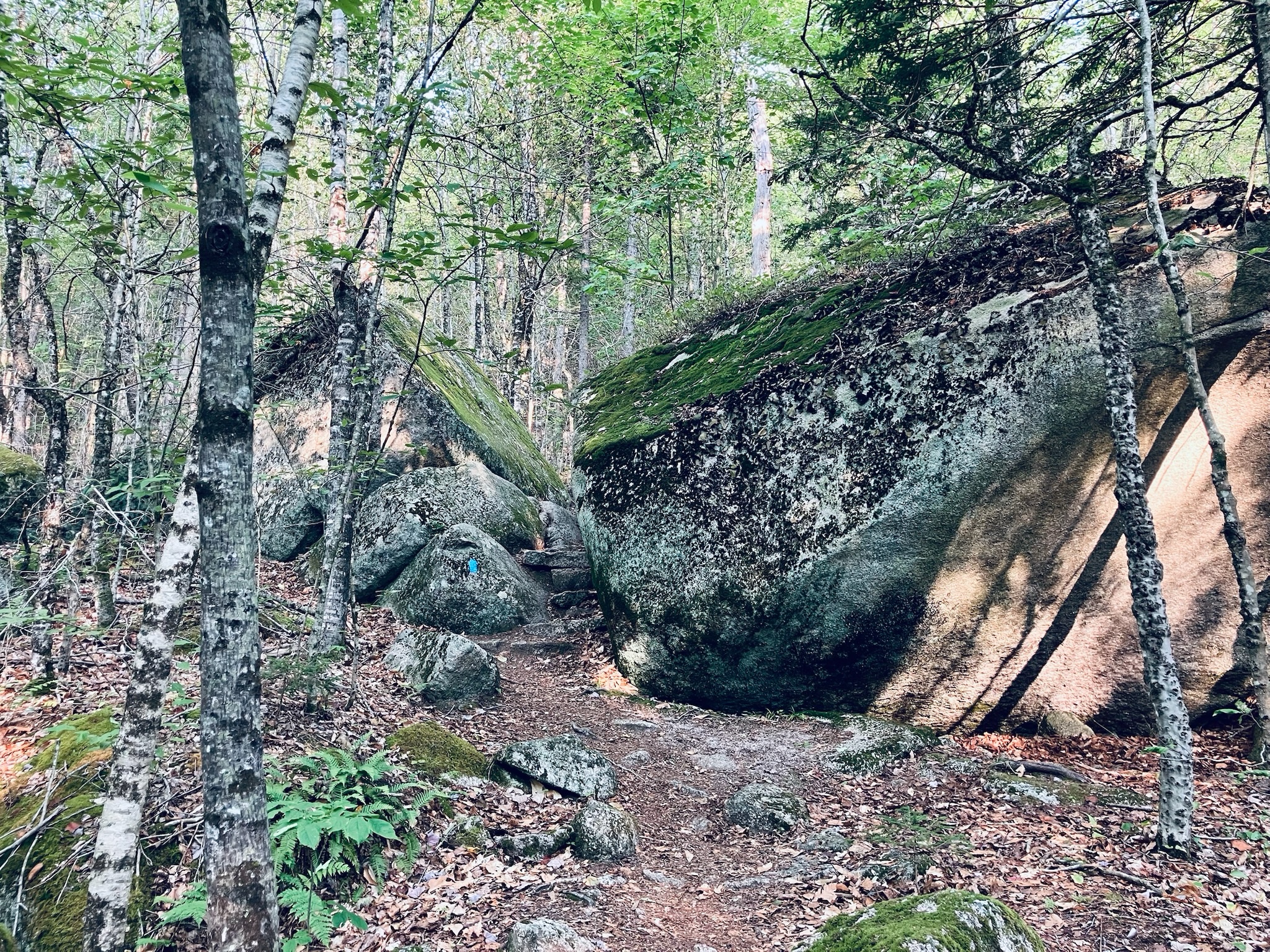 Schoodic Mountain – Hiking in Maine