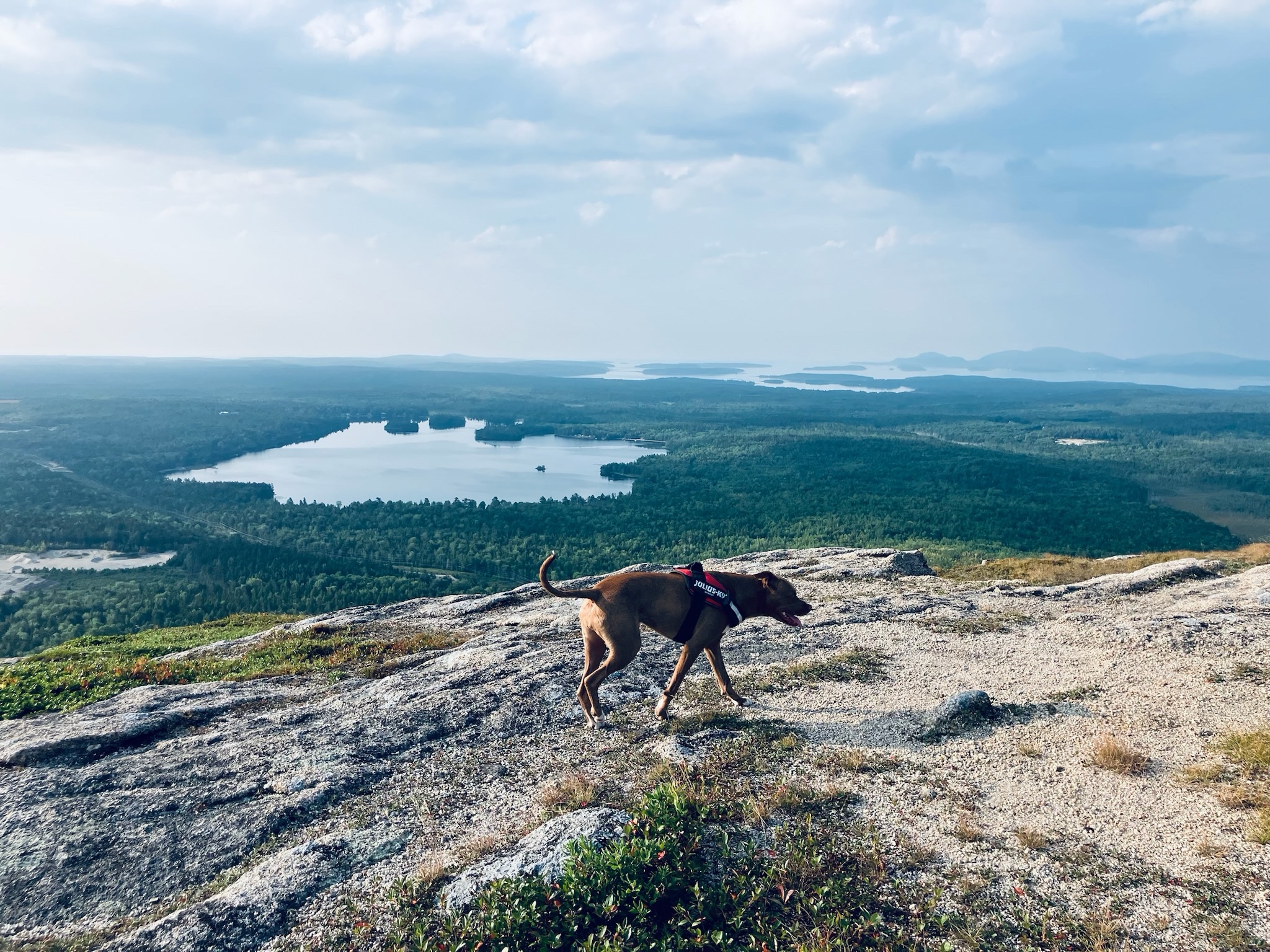 Schoodic Mountain – Hiking in Maine